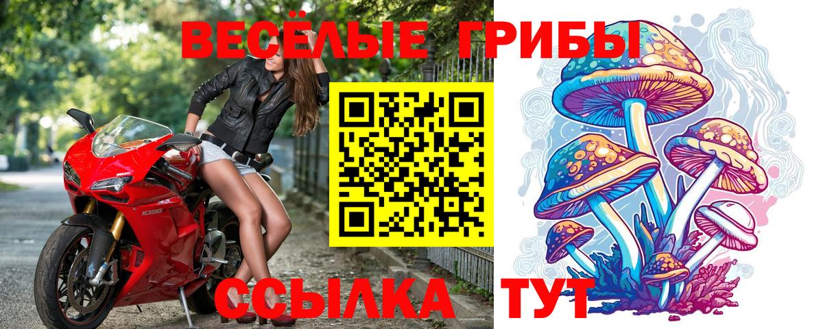 Кисловодск  Псилоцибиновые грибы мухоморы  Вход с VPN 