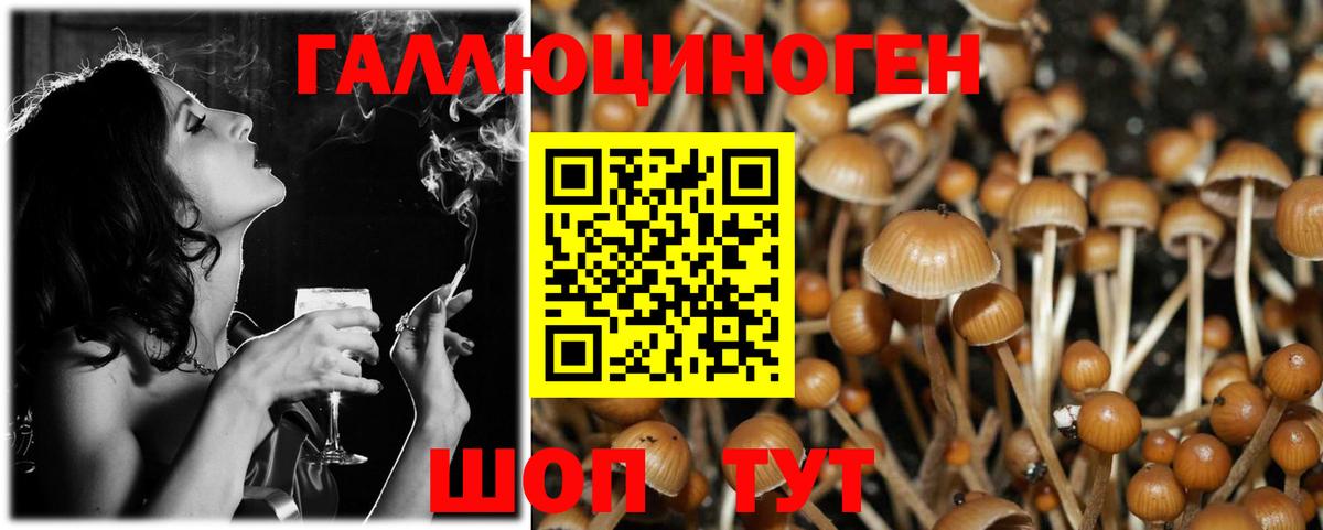 Псилоцибиновые грибы ЛСД Кисловодск