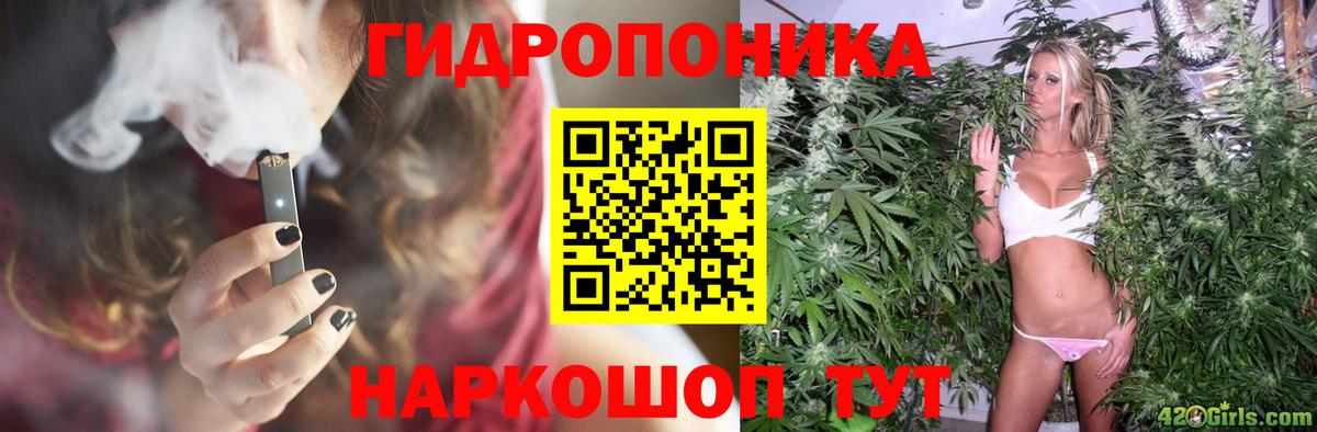 МАРИХУАНА гибрид Кисловодск